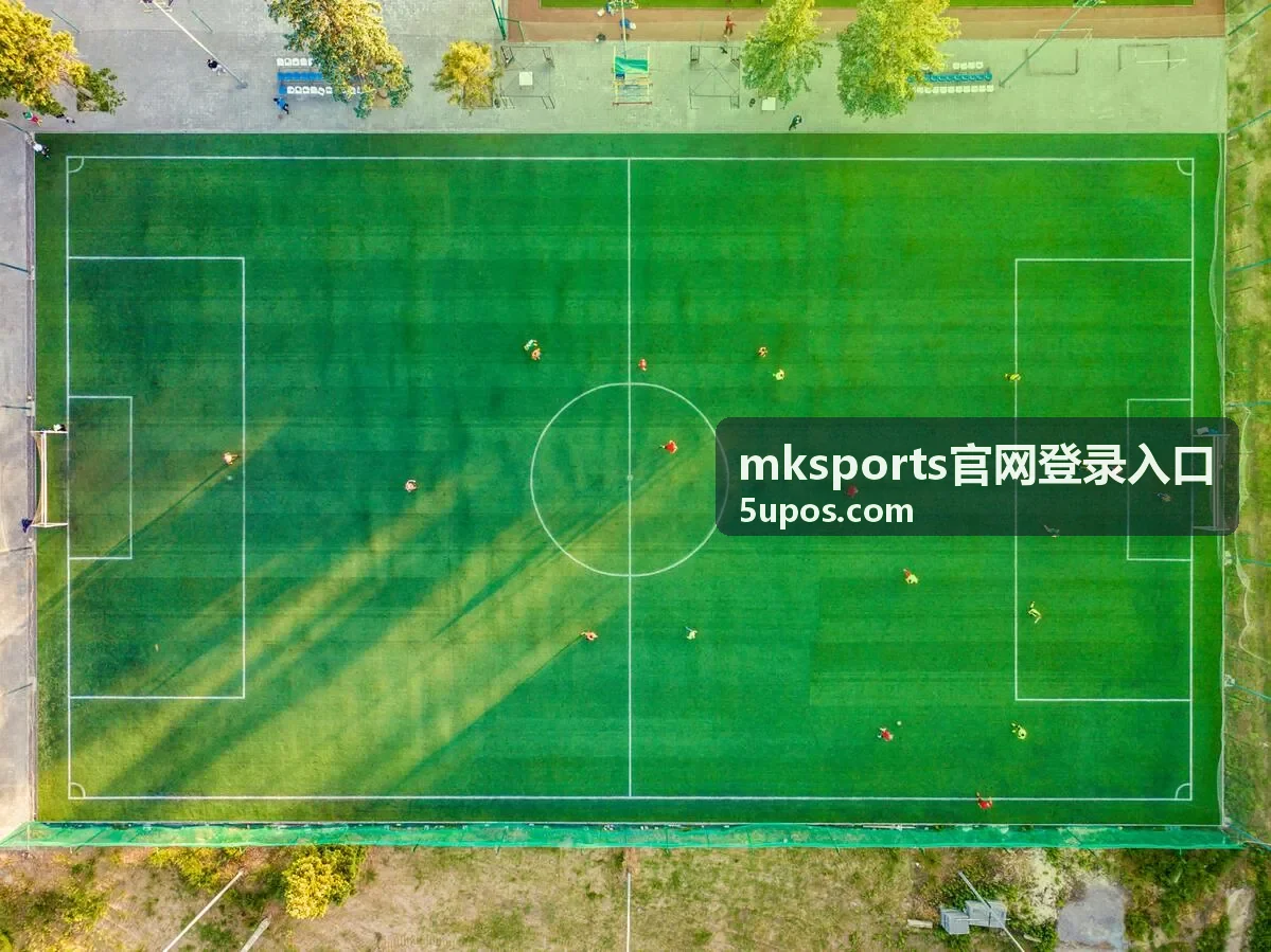 公共网络环境下完成登录验证的示意
