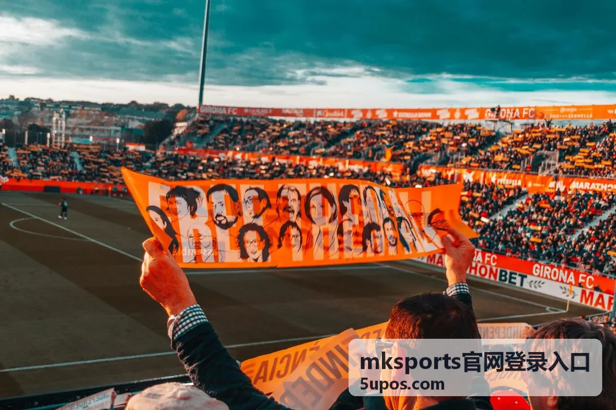 mksports官网登录入口 访问环境适配说明配图